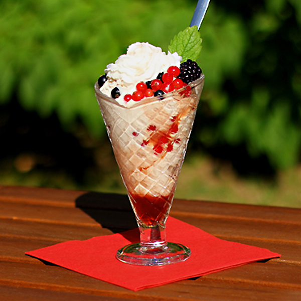 fruktosearmer laktosefreier Früchte-Eisbecher fruktosearmer laktosefreier Früchte-Eisbecher